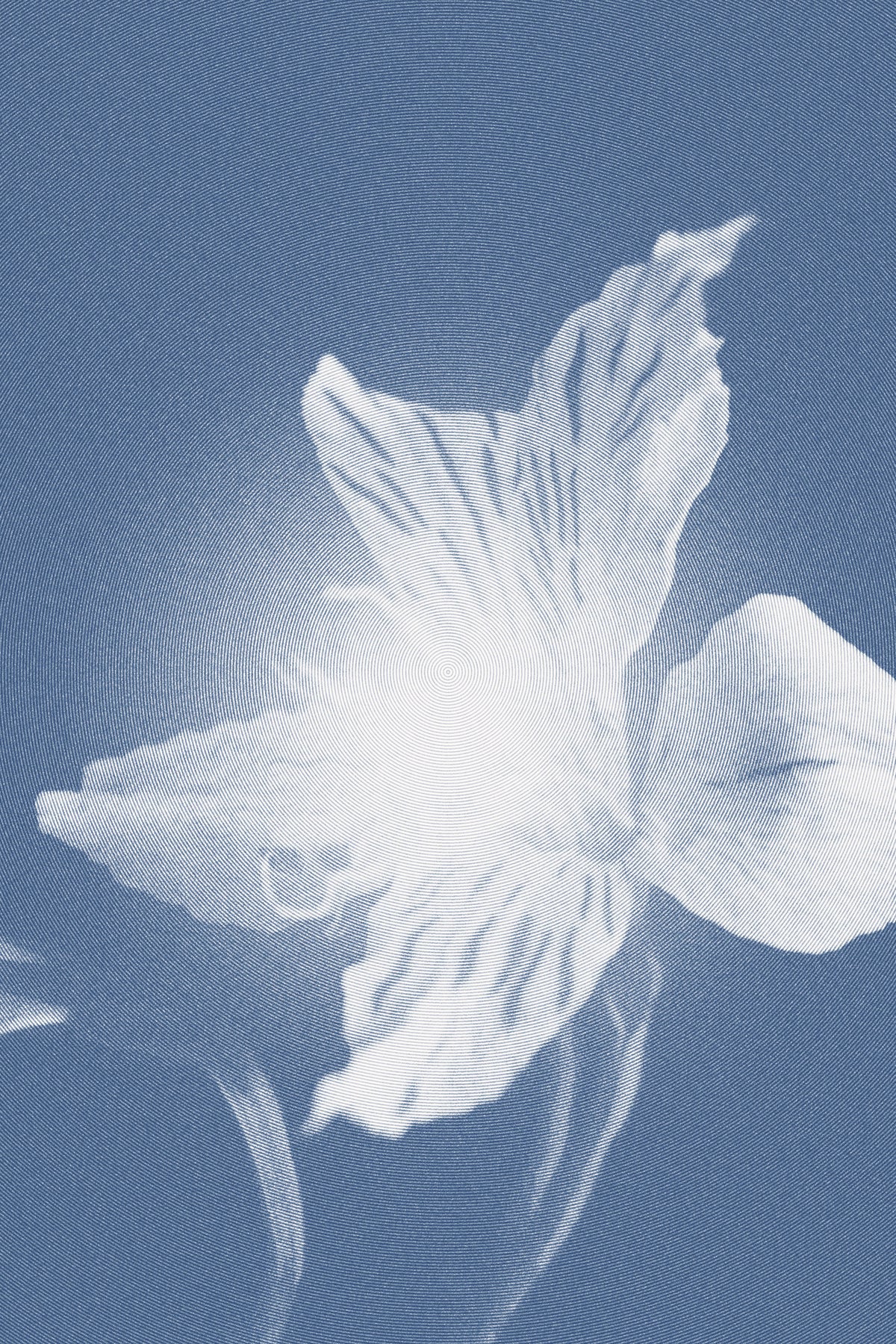 Scent as Medicine