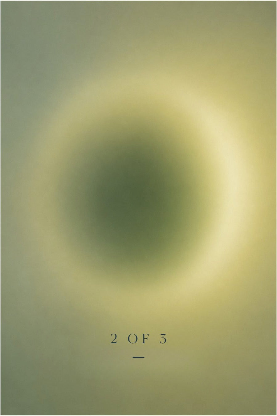 THE BIOLOGY OF LIGHT; Pigments, Plants and the Molecular Architecture of Translation